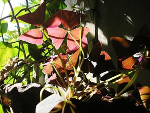 1291962657-96bc959ddb