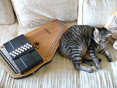 2677605039_b62f952263_m