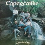 1195906488_capercaillie-cascade