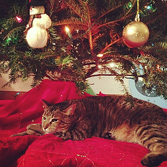 Image from Marc Gunn