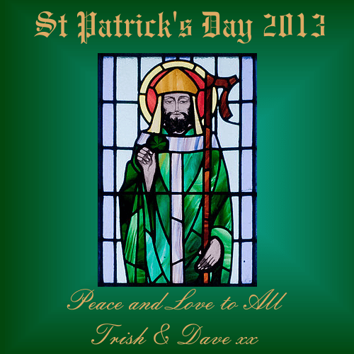 Wishing everyone a Happy St. Patrick's Day! Sahara
