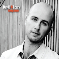 Going Home by David O'Leary